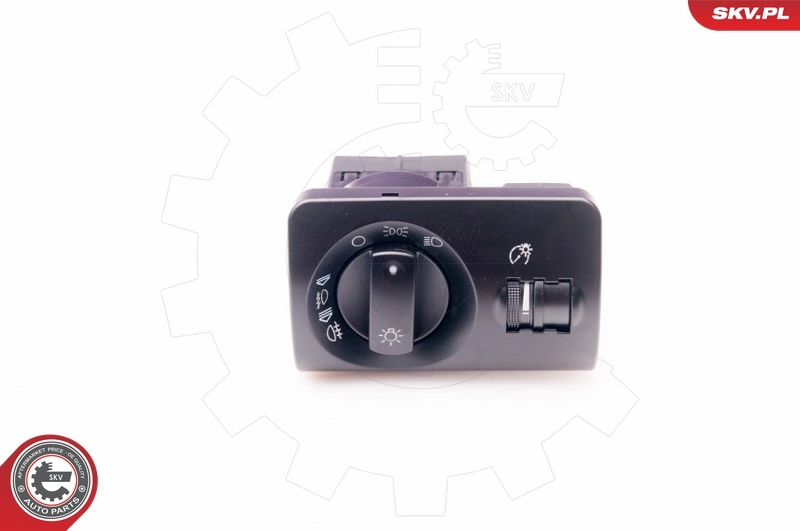 Switch, headlight